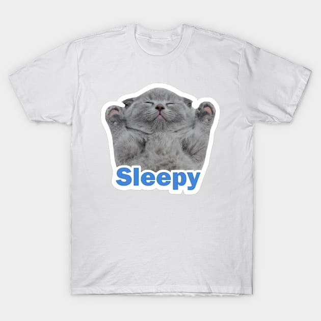 vintage-sleepy cat T-Shirt by soorney